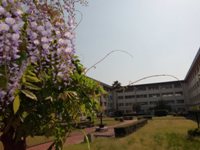 CIMG0336s