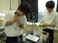 CIMG0613s